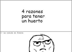 Enlace a Lo mejor de un huerto