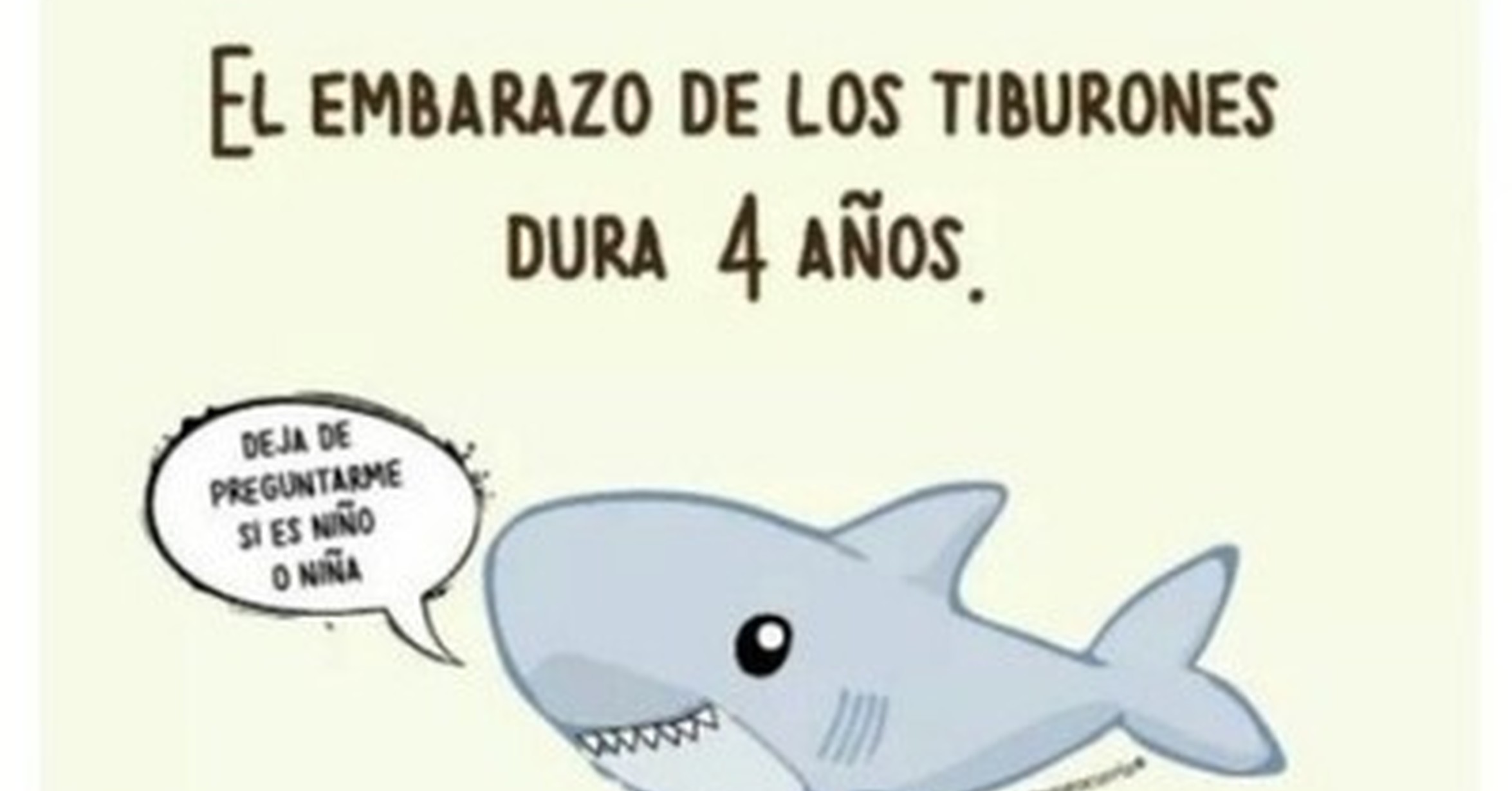 Cuánto Cabrón Curiosidades De Algunos Animales