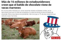 Enlace a Y de las vacas negras, el café