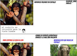 Enlace a Monencio cortando un cuchillo...