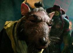 Enlace a Con descansos para jugar al COD