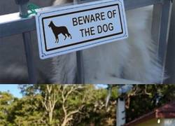 Enlace a Cuando tus dueños son unos exagerados