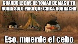 Enlace a Esa gente que espera que los otros caigan ante los efectos del alcohol