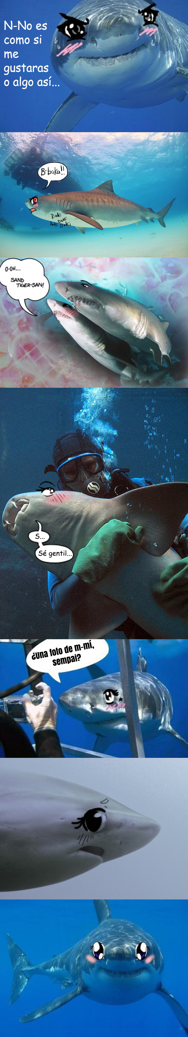 Meme_otros - Tiburones, los incomprendidos del mar