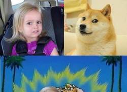 Enlace a La fusión de Doge definitiva