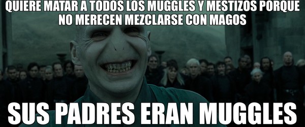 Meme_otros - Voldemort desprecia sus raíces