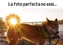 Enlace a Olvida lo que iba a decir...