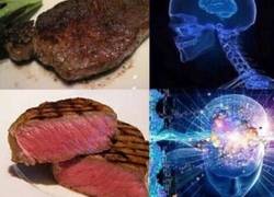 Enlace a La evolución de los carnívoros