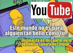 Enlace a La gente que comenta en youtube lleva la estupidez a otro nivel