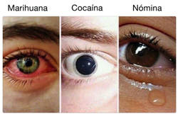 Enlace a Diferentes tipos de reacciones