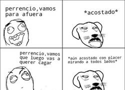 Enlace a El perro cabrón