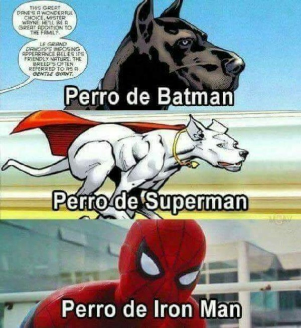 Meme_otros - Las mascotas de algunos superhéroes