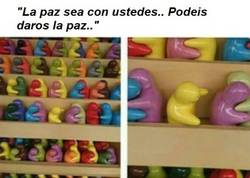 Enlace a Primero necesita de alguien para darle paz