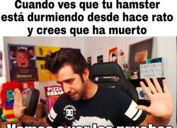 Enlace a Una prueba con un triste final