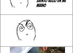 Enlace a Tercera guerra mundial...