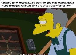 Enlace a ¡A otro perro con ese hueso!