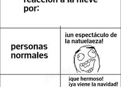Enlace a Diferentes reacciones a la nieve