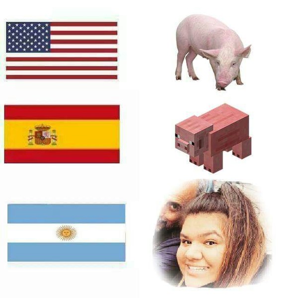 Otros - Así son los cerdos en algunos países
