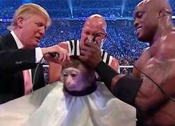 Enlace a Peluqueros VIP