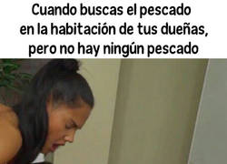 Enlace a ¡Lo huelo pero no lo veo!