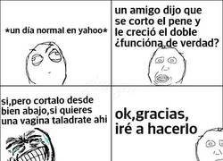 Enlace a La estupidez humana no tiene límites