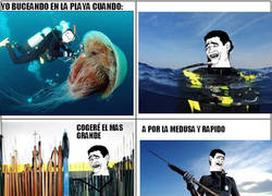 Enlace a La medusa más grande ya está muerta gracias a Yao Ming