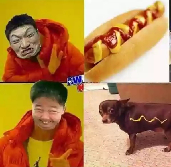 aidylE,chinos,hot dog,perro caliente