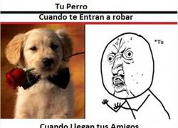 Enlace a ¿Por qué me haces esto?