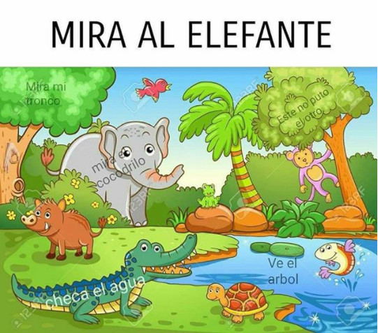 agua,árbol,elefante