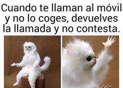 Enlace a Frustración a más no poder