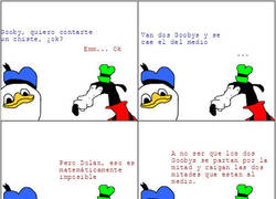 Enlace a Dolan y sus locuras