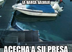 Enlace a En el salvaje Santander...