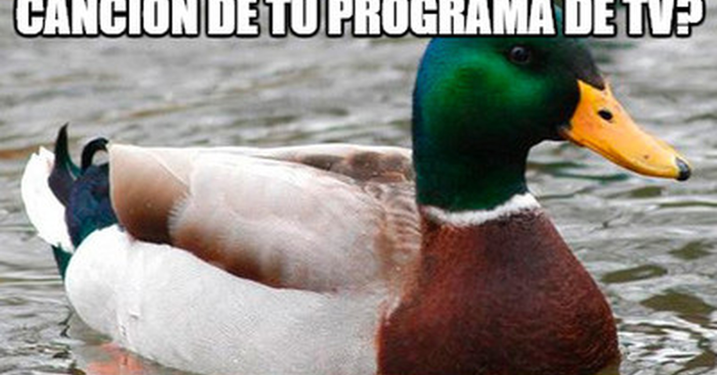 Cuánto cabrón / Para las canciones en inglés