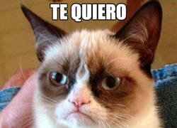 Enlace a Más directo no se puede ser