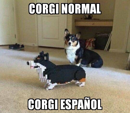 Corgi,España,minecraft,perro,raza,YouTube