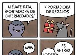 Enlace a La rata y los regalos