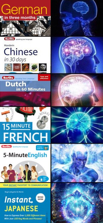 Meme_otros - Distintos niveles para aprender idiomas