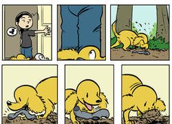 Enlace a Esta es la verdadera intención de los perros al esconder calcetines