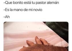 Enlace a Hay que fijarse más en las cosas antes de juzgar