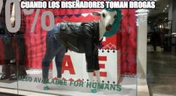 Enlace a Esto es lo que necesitaban los animales