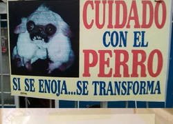 Enlace a Letreros random que dan miedo