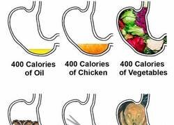 Enlace a 400 gramos de distintos alimentos en el estómago