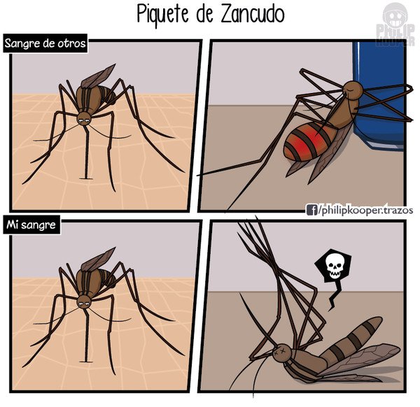 Otros - Piquete de mosquito