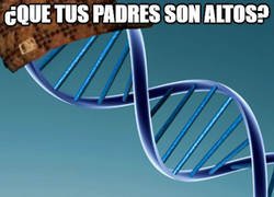 Enlace a El ADN de los gnomos