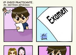 Enlace a DESTINOS SEPARADOS