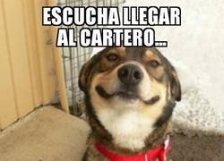 Enlace a Si nuestros compañeros peludos hablaran...