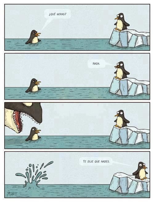 nadar,orca,pingüino