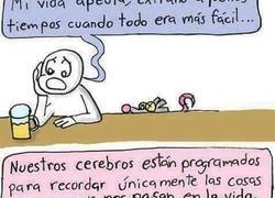 Enlace a La rata honesta