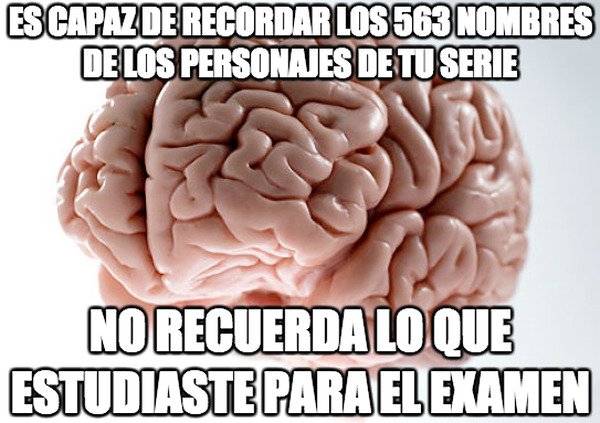cerebro,estudiar,examen