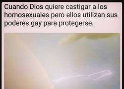 Enlace a Combate épico en la naturaleza